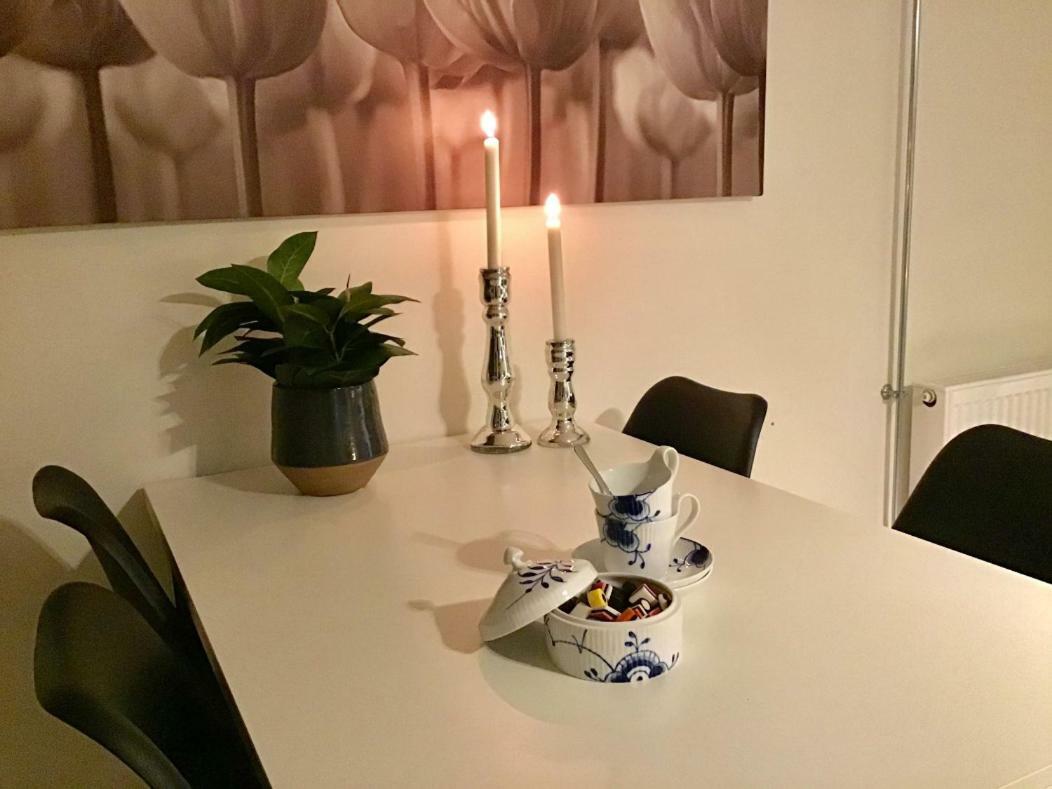 Ferienwohnung Special Offer,One Of Its Kind, Extremely Central In Herning, Danish Hosts, Extremely Clean, Very Quiet Street But A Stonethrough From Bars & Restaurants Exterior foto